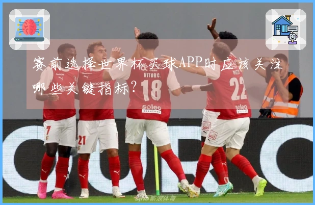 赛前选择世界杯买球APP时应该关注哪些关键指标？
