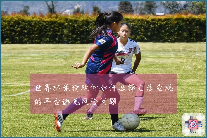 世界杯竞猜软件如何选择合法合规的平台避免风险问题