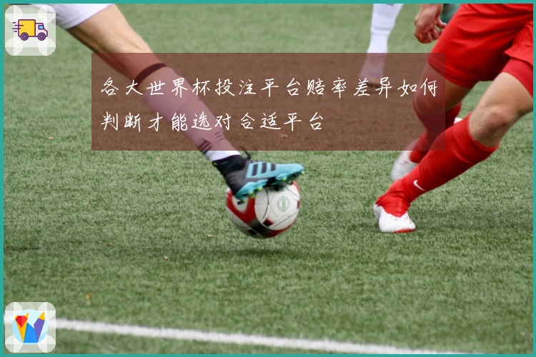 各大世界杯投注平台赔率差异如何判断才能选对合适平台