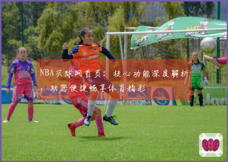 NBA买球网首页：核心功能深度解析，助您便捷畅享体育精彩