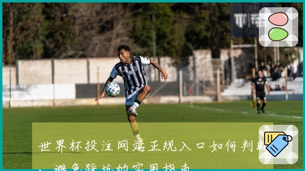 世界杯投注网站正规入口如何判断,避免踩坑的实用指南