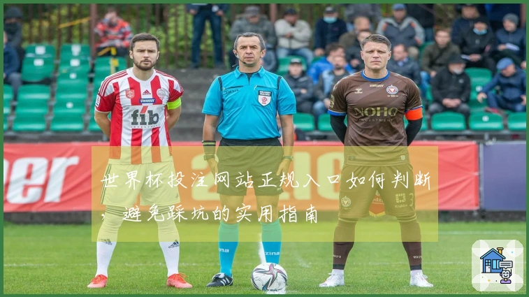 世界杯投注网站正规入口如何判断，避免踩坑的实用指南