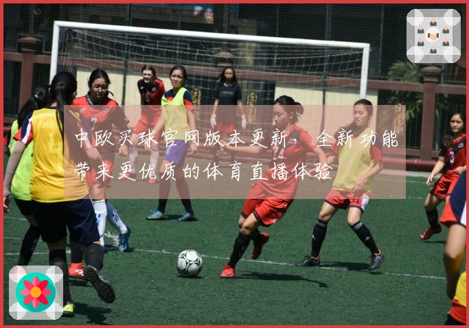 中欧买球官网版本更新，全新功能带来更优质的体育直播体验