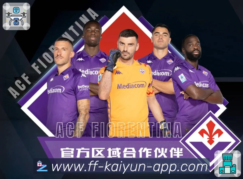 kaiyun专业服务